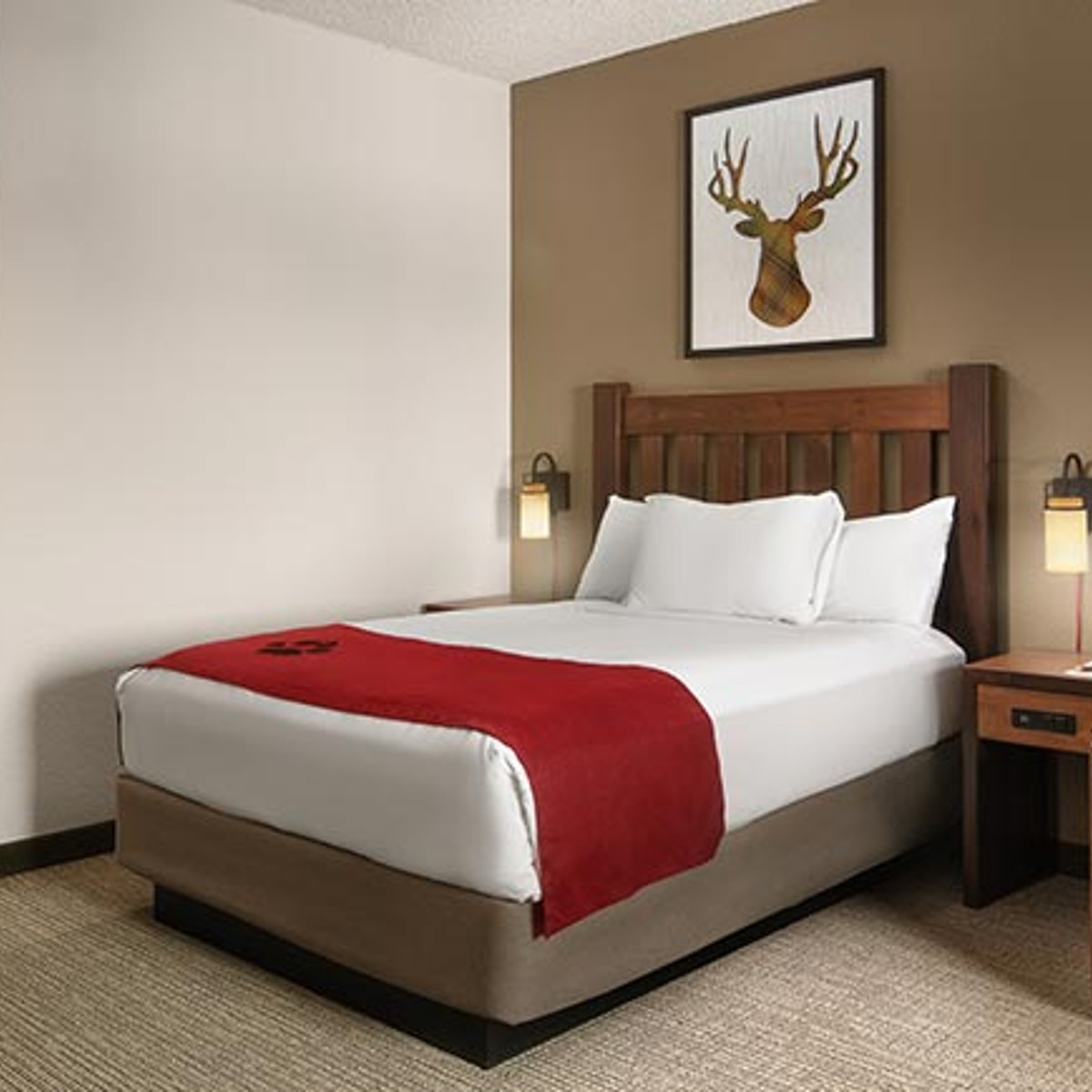 KidKamp suite 